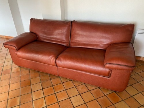 Canapé cuir roche bobois - canapé,