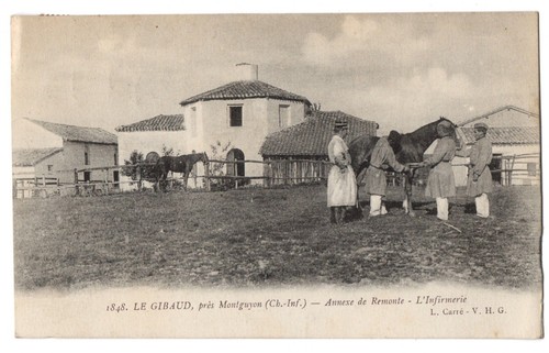 Cpa le gibaud - cpa, 17
