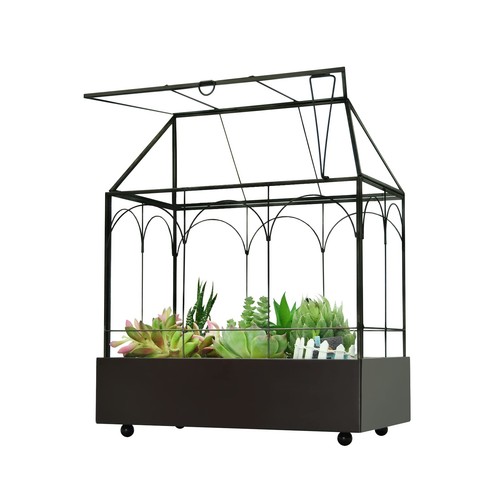 Large tall glass plant - tall,