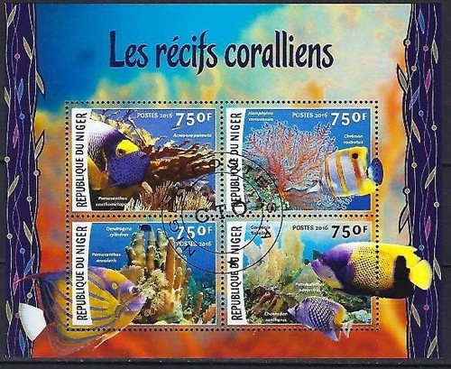 Animaux coraux niger 2016 - animaux,