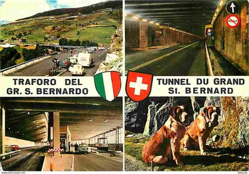 Carte postale animaux - carte,