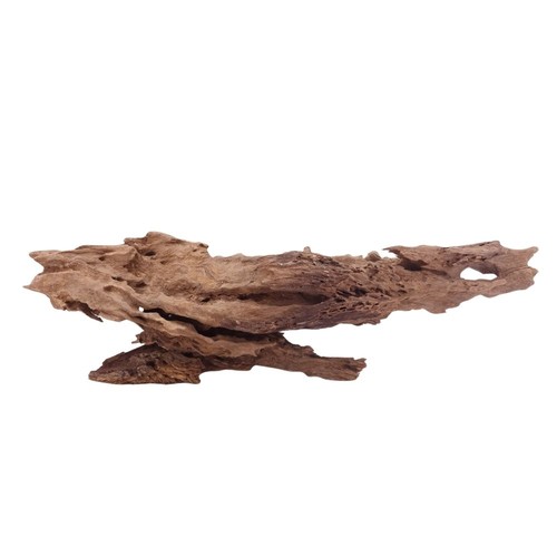 Aquaone racine arbre - d’arbre, honey