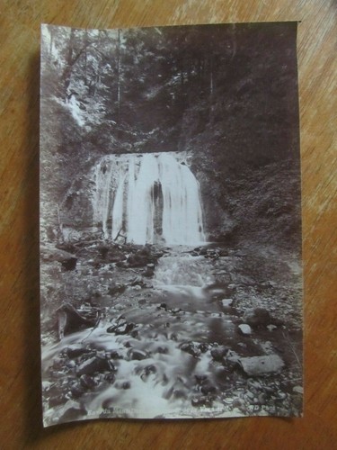 Ancienne photo albumine - photo, le