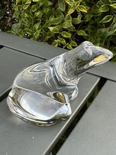 SAINT-LOUIS Grenouille
