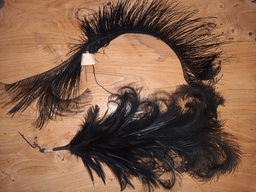 Lot anciennes plumes droite - plumes,