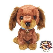 NOUVEAUX chiots Sun Lemon 