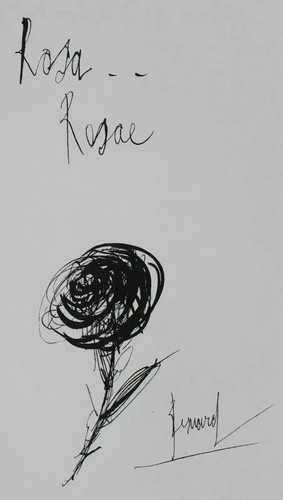 Bernard buffet rosa rosae - bernard, :