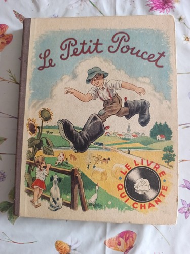 Petit poucet le livre - le,