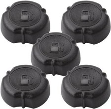 Briggs & Stratton (paquet de 5