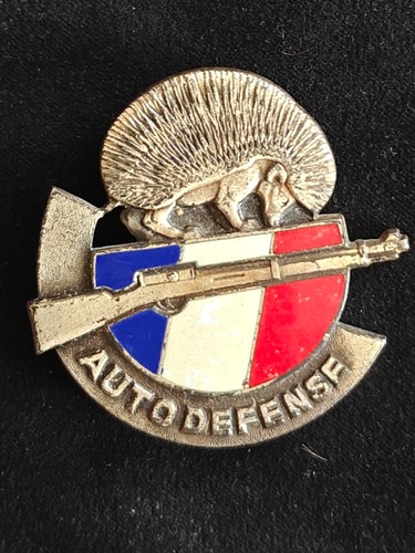 Insigne beret poitrine - beret, ou