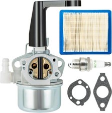 696065 Carburateur pour Briggs