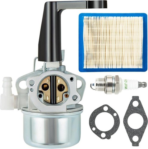 696065 carburateur pour - 696065,