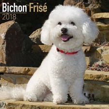 Calendrier 2018 - BICHON FRISE