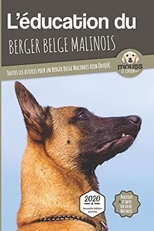 Léducation berger belge - berger,