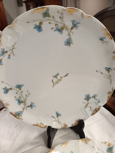 Plat porcelaine de - plat,