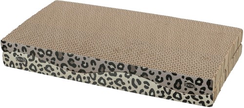 Griffoir leo carton - carton,, 44