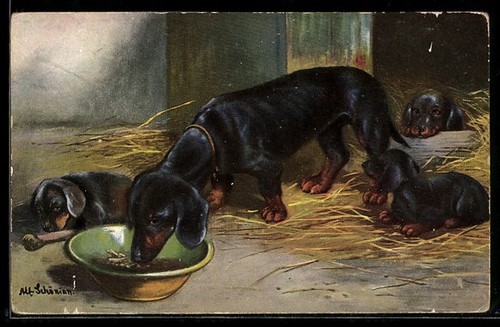 Carte postale artiste alfred - d'artiste,