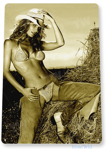 Tin sign hay stack - hay, metal