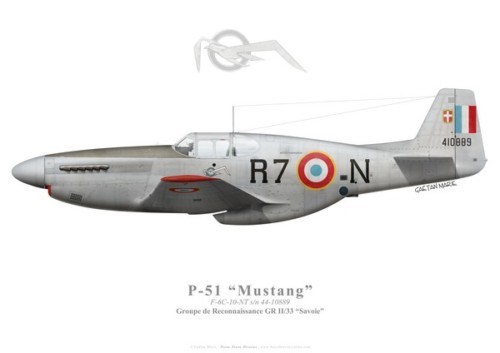 Print 51c mustang - print, mustang,