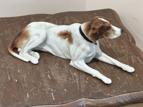 Tres joli pointer chien - chien, en
