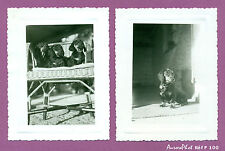  LOT 2 PETITS TIRAGES