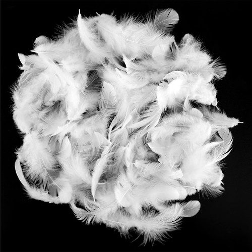 500 pcs plumes blanches - pcs, blanches,