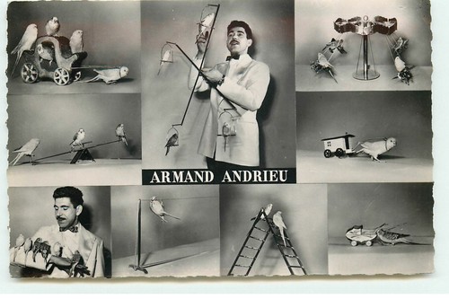 Armand andrieu multi views - armand,
