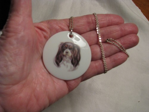Cavalier king charles - cavalier, spaniel