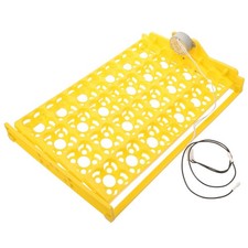 Couveuse Plateau Incubateur À