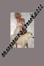 Marylin Monroe photo 4