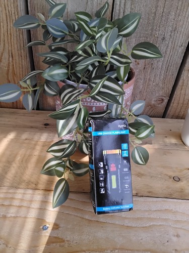 Lampe torche puissante