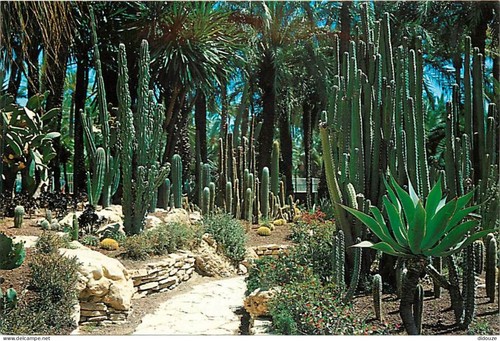 Carte postale fleurs - -,