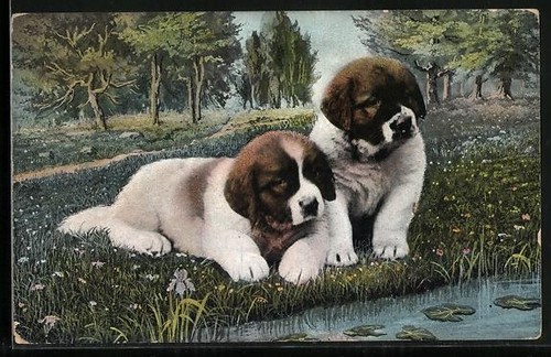 Carte postale deux chiots - carte,