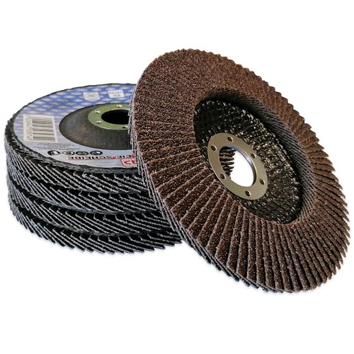 Disque lamelle bgs technic - disque, a