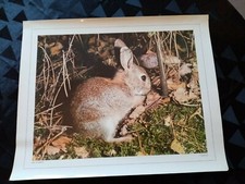 Photo affiche scolaire.le