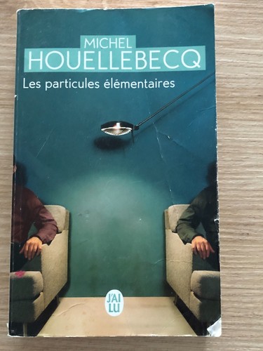 Les particules elémentaires - les,