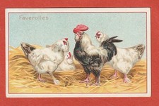 CHROMO - CHICOREE A LA BELLE