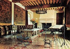 37 LANGEAIS LE GRAND SALON