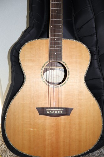 Washburn wg27se acoustic - ,