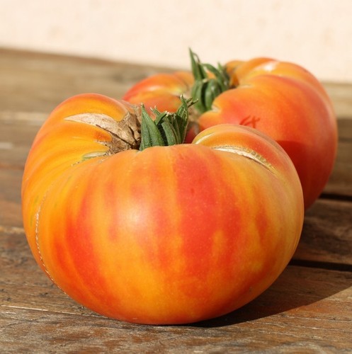 Graines tomate mystère - tomate, "mystère