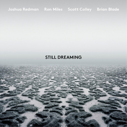 Joshua redman still dreaming - still,