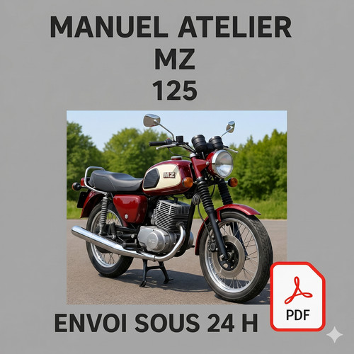 Manuel atelier 125 ts - 125,