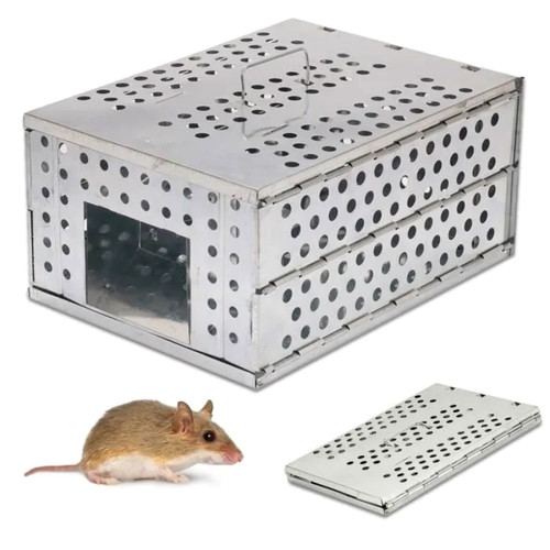 Piège rongeurs rats - piège,