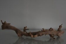 Vivarium, Exo Terra Forêt Branche Moyen Environ 47 x 20 x 7 CM B Reptile Arbre