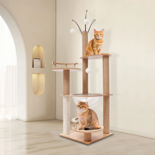Arbre chat multi niveaux - arbre, à