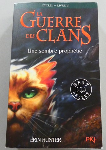 Roman guerre des clans - roman, la