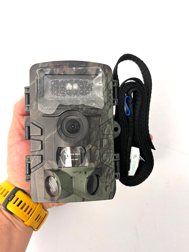 Trail cam wildlife camera - wildlife, haza
