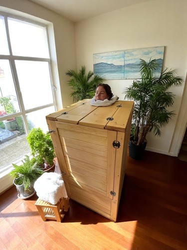 Mini sauna pour maison - pour,