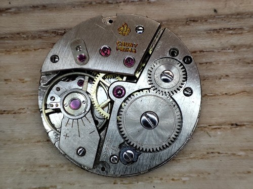 Cauny prima watch - prima,