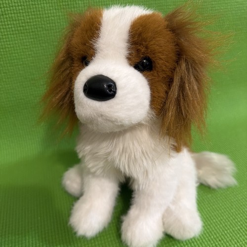 Kingsley king charles - 9",